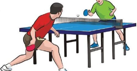 Qual É A Diferença Entre Tenis De Mesa E Pingpong?