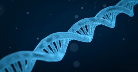 Qual é a diferença entre genoma e código genético?
