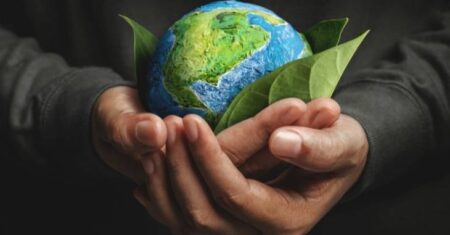 Qual É A Diferença Entre Sustentável E Sustentabilidade?