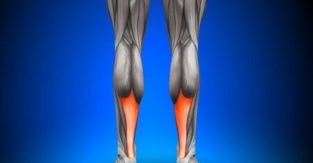 Qual É A Diferença Entre Ligamento E Tendão?
