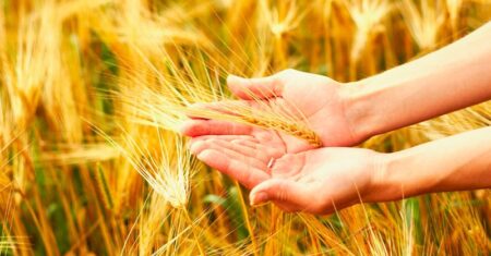 Qual É A Diferença Entre Sucesso E Prosperidade?