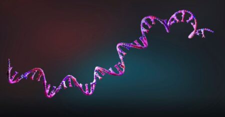 Qual É A Diferença Entre Rna E Dna?