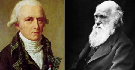 Qual É A Diferença Entre A Teoria De Lamarck E Darwin?