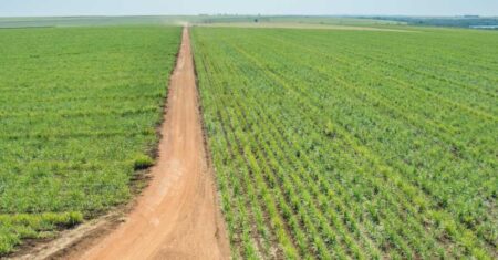 Qual É A Diferença Entre Alqueire E Hectare?