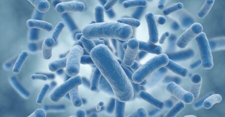 Qual É A Diferença Entre Bacterias E Cianobacterias?