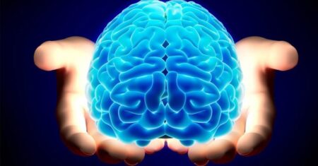Qual É A Diferença Entre Alzheimer E Demência?