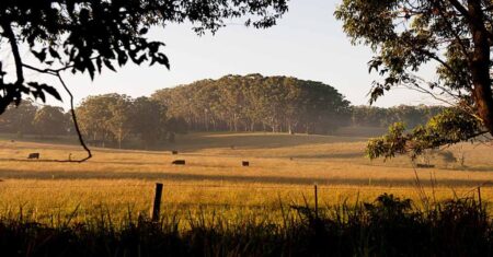 Qual É A Diferença Entre Sítio E Fazenda?