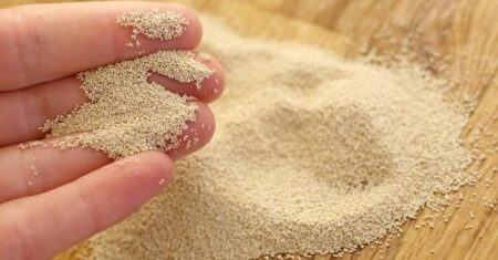 Qual É A Diferença Entre Fermento Químico E Biológico?