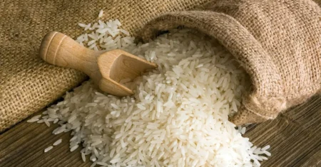 Quem Inventou o Arroz?