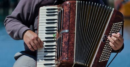 Qual É A Diferença Entre Sanfona E Acordeon?