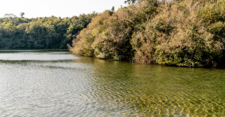 Qual É A Diferença Entre Lago E Lagoa?
