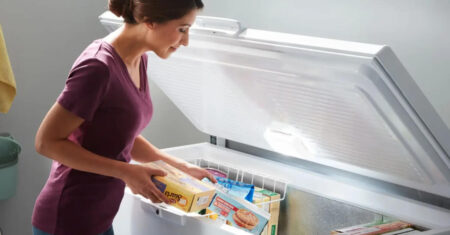 Qual É A Diferença Entre Freezer E Refrigerador?