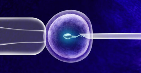 Qual É A Diferença Entre Inseminação Artificial E Fertilização In Vitro?