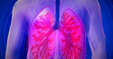 Qual É A Diferença Entre Oxigenio E Gas Oxigenio?