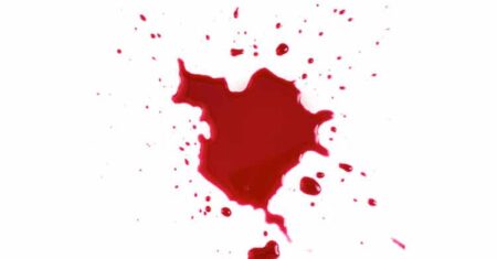 Qual É A Diferença Entre Sangue Arterial E Sangue Venoso?