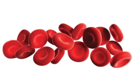 Qual É A Diferença Entre Sangue Venoso E Sangue Arterial?