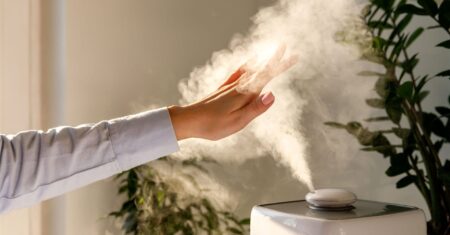 Qual É A Diferença Entre Umidificador E Climatizador?