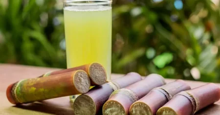 O Que Significa Sonhar Com Pé De Cana?