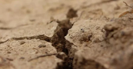 O Que Significa Sonhar Com Casa De Barro?