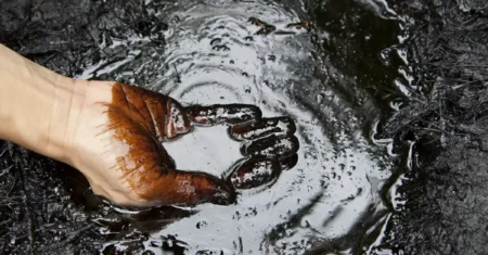 O Que Significa Sonhar Com Óleo Preto?