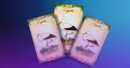 O Que Significa A Carta Da Cegonha No Baralho Cigano?