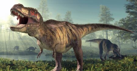 O Que Significa Sonhar Com Dinossauro Correndo Atrás De Mim?
