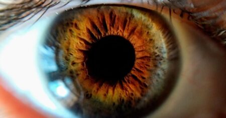O Que Significa Menina Dos Olhos De Deus?