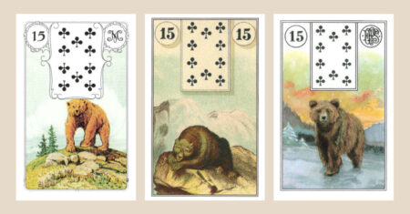 O Que Significa A Carta Do Urso No Tarot?