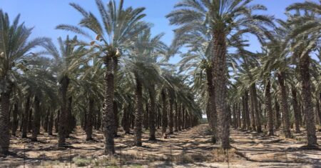 O Que Significa Que O Vosso Fruto Permaneça?